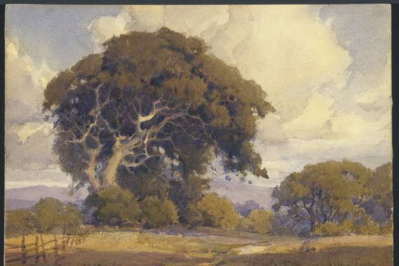Percy Gray