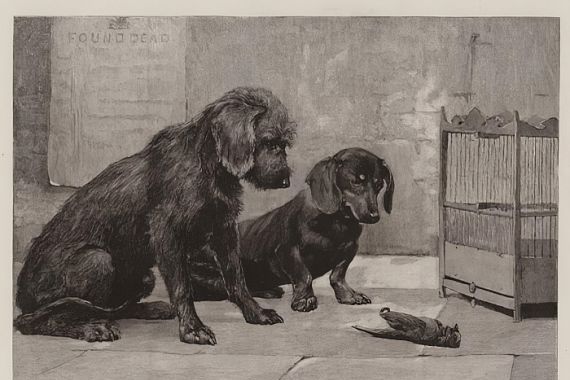 Percy Harland Fisher