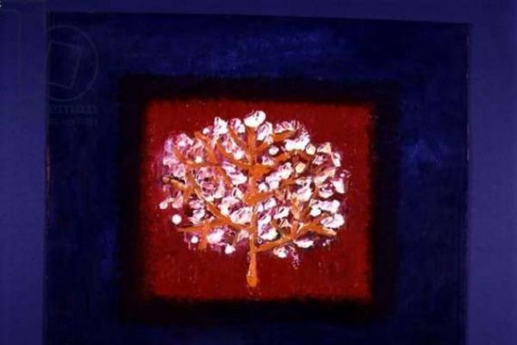 Peter Davidson