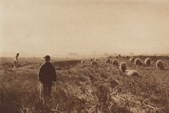 Peter Henry Emerson