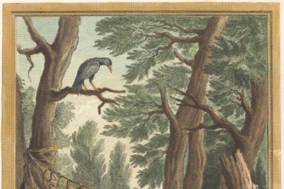Pierre Chenu after Jean Baptiste Oudry