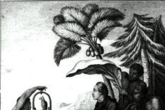 Pierre Sonnerat