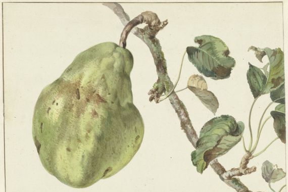 Pieter Gevers