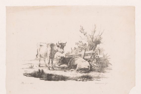 Pieter de Goeje