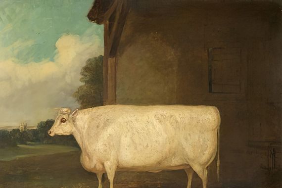 Richard Whitford