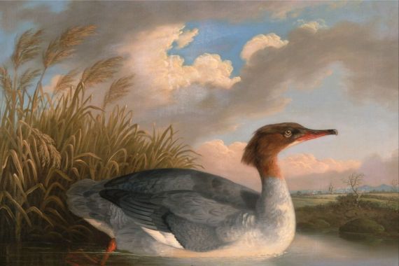 Robert Wilkinson Padley