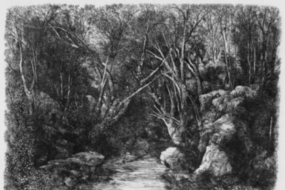 Rodolphe Bresdin