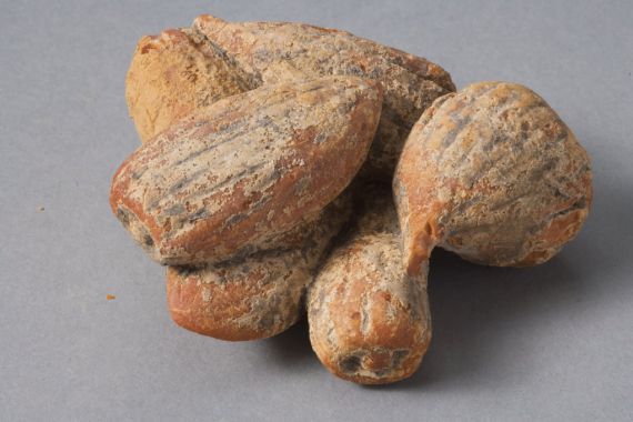 Roman Period Egyptian