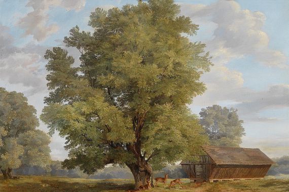 Rudolf Swoboda