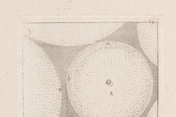 Sébastien Leclerc (I)