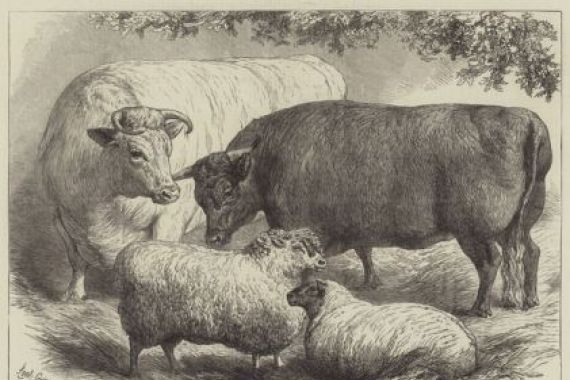Samuel John Carter