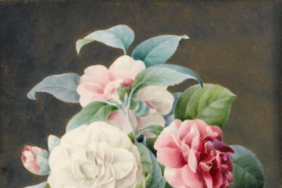 Sarah Bray