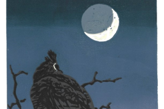 Sarah Drummond