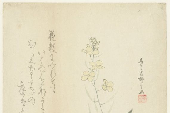 Seiseikyo Ryûshi