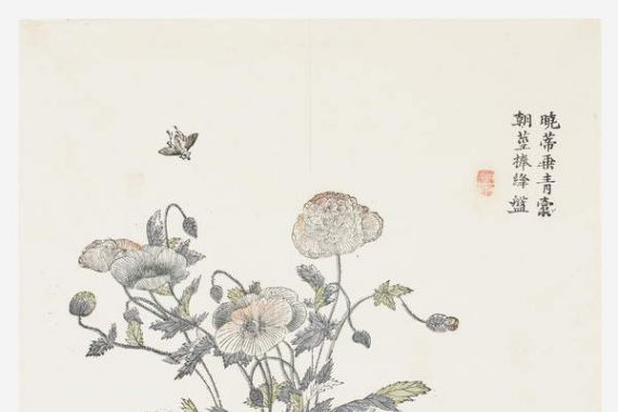 Shun Kung Chien