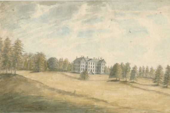 Stebbing Shaw