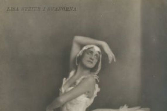 Swedish Photographer