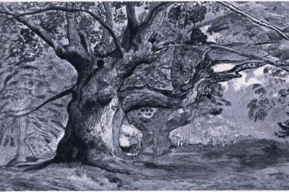 T. Medland