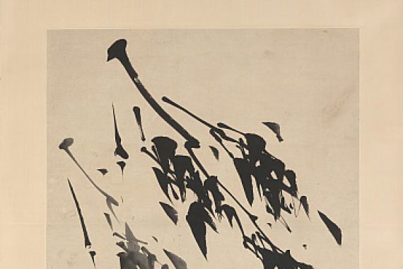 Taiho Shoko
