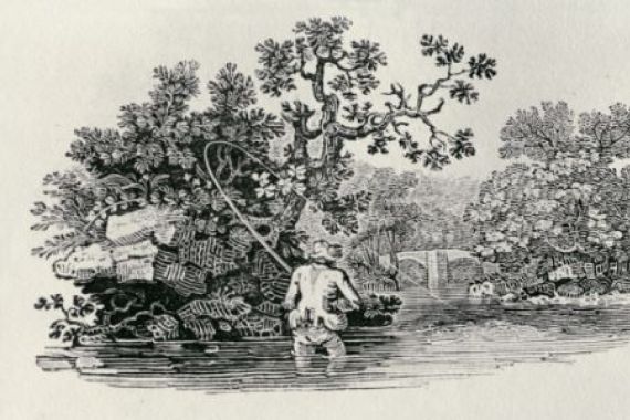 Thomas Bewick