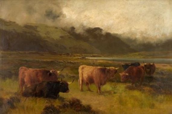 Thomas Henry Gibb