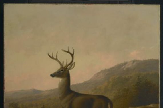 Thomas Hewes Hinckley