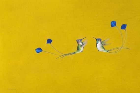 Tim Hayward