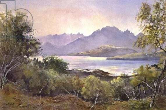 Tim Scott Bolton