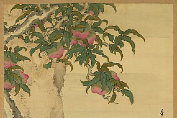 Toda Tadanaka