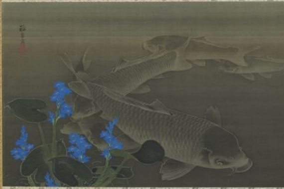 Toko Kuroda