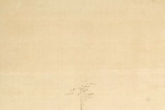Tsukioka Masanobu Settei