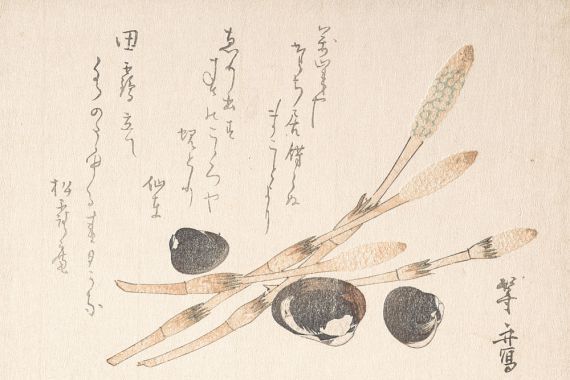 Uematsu Toshu