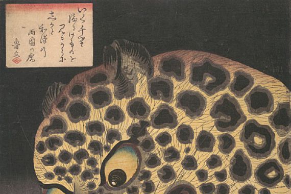 Utagawa Hirokage