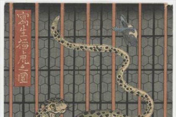 Utagawa Kunimaro