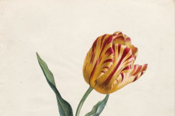 Valentine Bartholomew