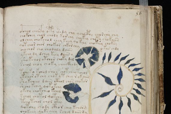 Voynich manuscript