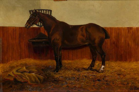 W. F. Adye