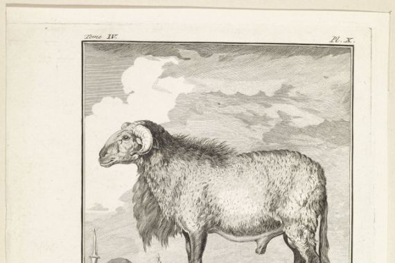 W. Tringham