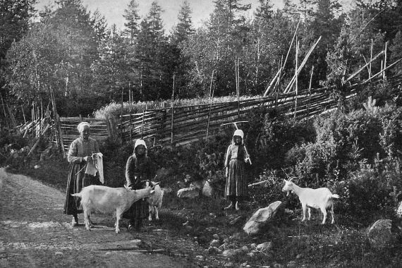 Wald Zachrisson