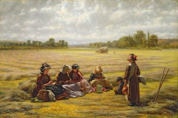 Walter Field