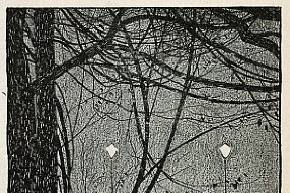 Walther Caspari