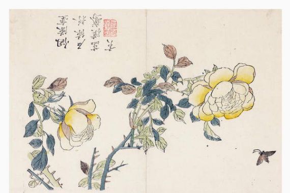 Wen shu Chao