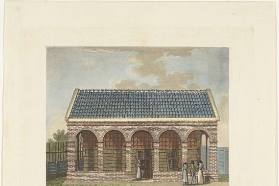 Willem Senus van