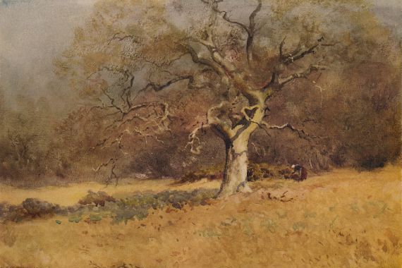 William Eyre Walker