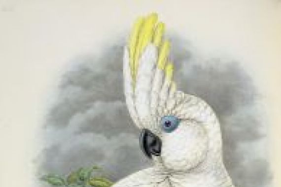 William Hart