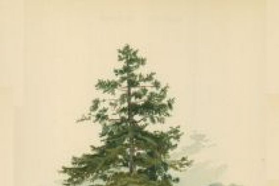 William Henry James Boot