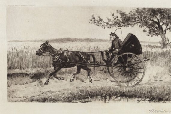William Henry Shelton