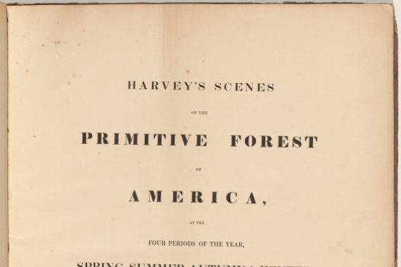 William James Bennett, after George Harvey
