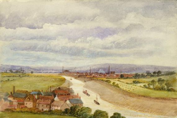William John Willcox