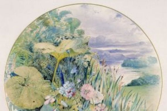 William Linnaeus Casey